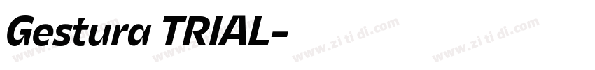 Gestura TRIAL字体转换
